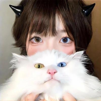 猫和老鼠：西部大冒险
